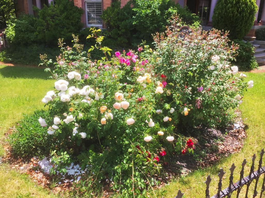 Historic Ellerbeck Mansion Bed & Breakfast Salt Lake City Eksteriør bilde